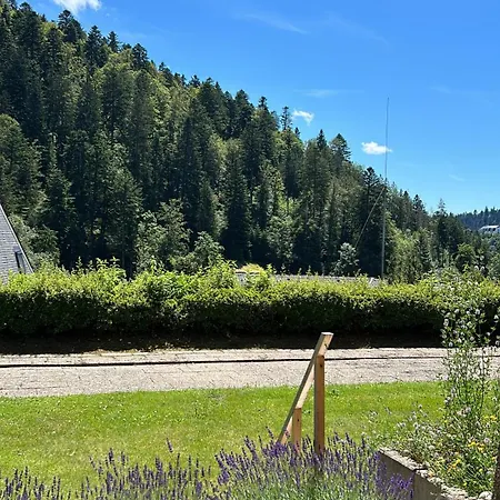 Tannenwald * Todtmoos